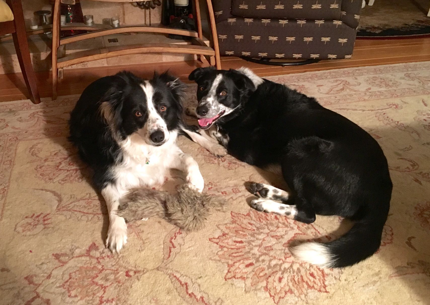 Lexy and Cleo